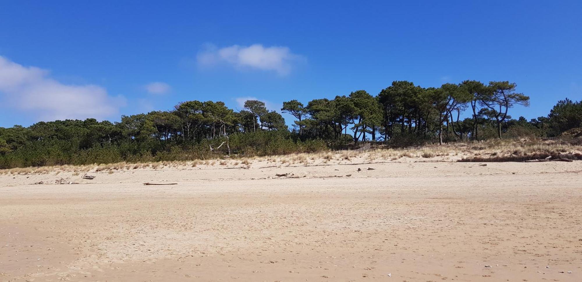 Les Rochers De Vallieres, Appartement De 35 M2 Avec 1 Chambre, Terrasses, Jardin 140 M2, Vue Panoramique Face A L'Ocean ! Saint-Georges-de-Didonne Exterior foto